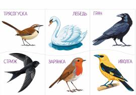 ���� � ����������� ������� ��� �����