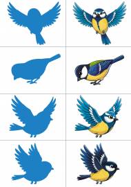 ������� � ����. ����