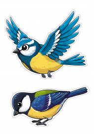 ������. ������ ��� ���������