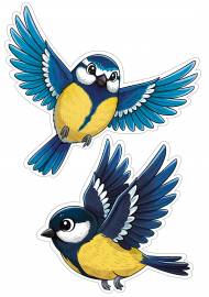 ������. �������� ��� ����������