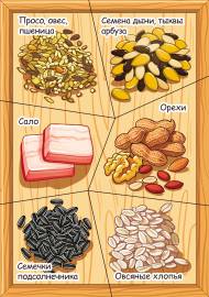 ��� ������� ����. ��������� ��������