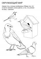 Реферат по теме Формирование у детей старшего дошкольного возраста представлений о зимующих и перелетных птицах