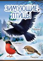 Плакат Зимующие птицы для детей