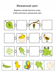 ��������� ���� � ��������� ��� �����. ����� ��������