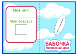 Жизненный цикл бабочки. Книжка своими руками Жизненный цикл бабочки. Книжка своими руками