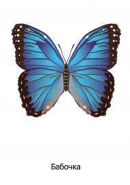 Вафельная картинка Девушка и бабочки 20х15