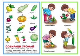 Собираем урожай. Овощи Собираем урожай. Овощи