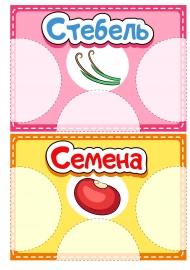 Стебель, семена. Лото с частями растений, которые мы едим Стебель, семена. Лото с частями растений, которые мы едим
