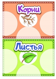 ����� ��������. ���� ��� �����