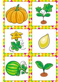 �� ������� �� �����. ������������������