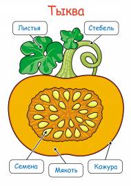 �������� �����, �������� ��� �����