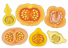 �����. ������������� ����