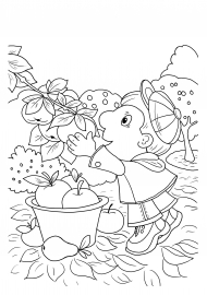 ���� ������ �����