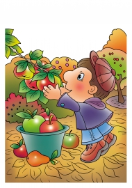 ������ �����