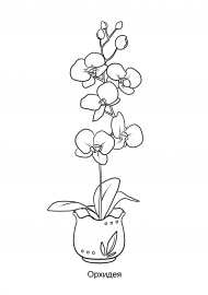 �������. ���������