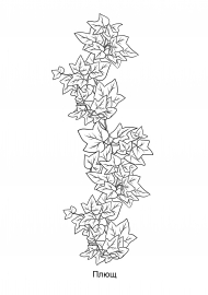 ����. ��������� �������� ��� �����