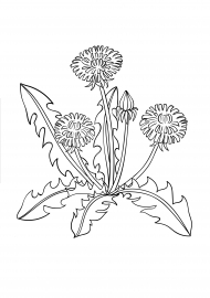 ��������� ���������