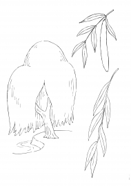 ���: ������, ������, ������