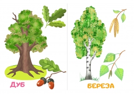 Раскраска дерево береза - 51 фото Дерево береза