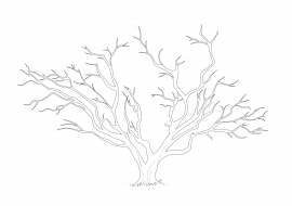 ����. ������ ��� �������������