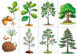 ���� ����� ������: ���� � �����������