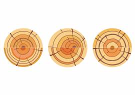 ����� ���������� �� ������� ��������