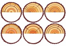 ����� ������ �������� ����� ������