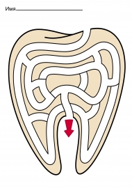 �������� ���