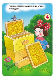 ����, ����, ���. �������� ��� �����