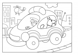 �����������. ���������