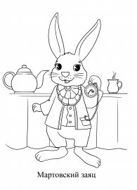 ���������� ����