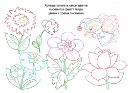 ������� �� 5: ����� ������ � ����� ��������