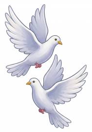 ������ ��� ����������