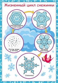 ��������� ���� ��������