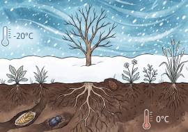 �������� ��� ������ �����