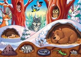 ����� �������� �����. ������������� ����