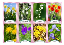Весенние цветы - картинки и красивые фото