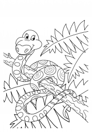 ������� ����. ���������