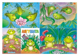 ������ �������� �������. ������-�������