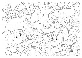 �����������. �������� �������