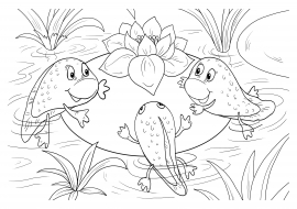 ����������� � �������. ���������