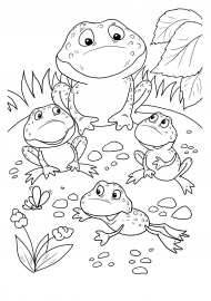 ����� �������