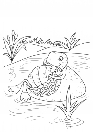 �������� � �����