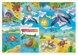 ����������� ���������. ������� � ���������