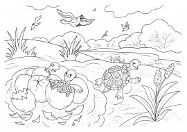 �������� ���������. �������� ��� �����