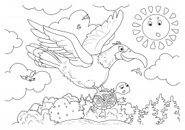 ����������� ��������. ������� � ���������