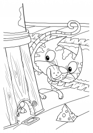 ��� ����� �����