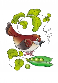 ������� � �����. ������� �������