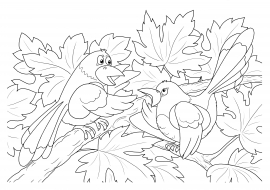 ������ �� ������. ���������