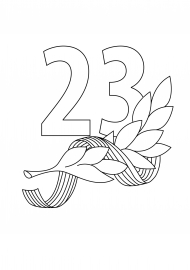   23 